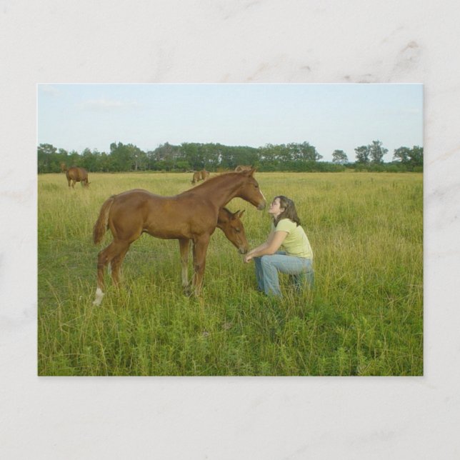 Carte postale Swapping Spiritueux (Devant)