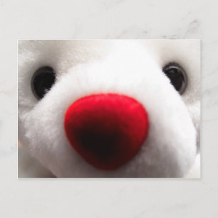 Carte postale Sweet Bear