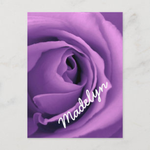Carte Postale SWEET PURPLE RÊVES Rose version 023A