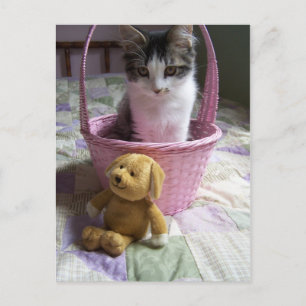 Carte postale SweetieKitty