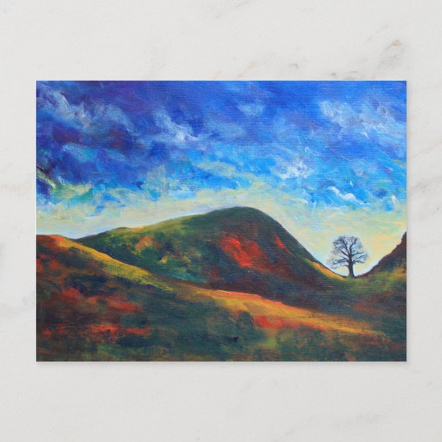 Carte Postale Sycamore Gap (Devant)