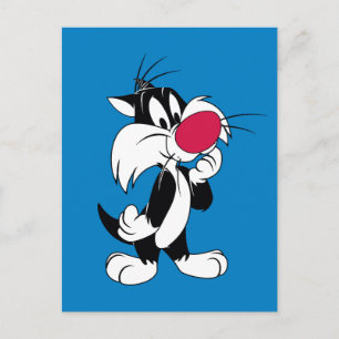 Carte Postale Sylvester Jr.   Pose classique