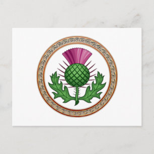 Carte Postale Symbole de chardon écossais Badge
