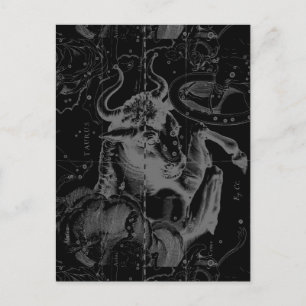 Carte Postale Symbole de Taurus Constellation Hevelius circa 169