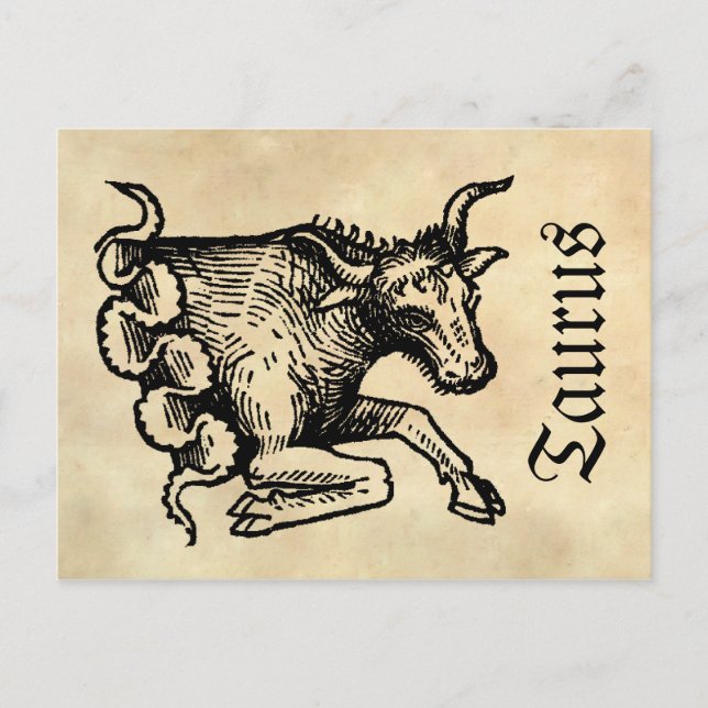 Carte Postale Symbole zodiaque médiéval de la Renaissance Taurus (Devant)