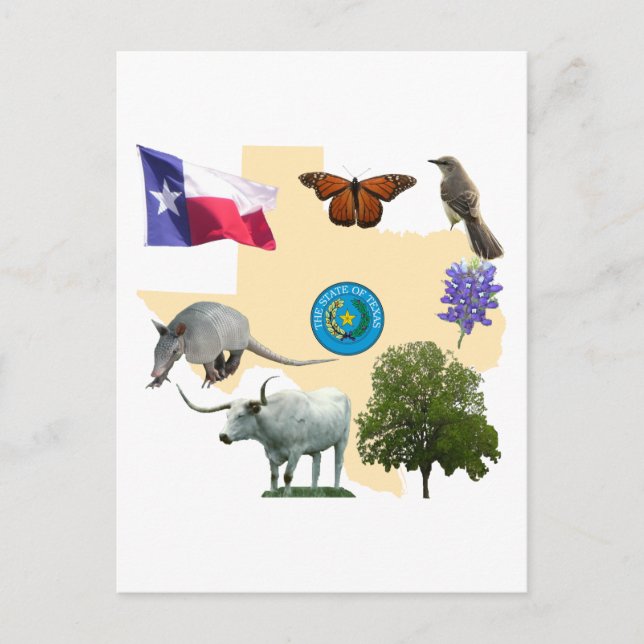 Carte Postale Symboles d'état du Texas (Devant)