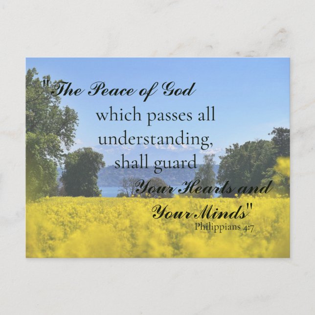 Carte Postale Sympathie du lac Meadow Hill aux fleurs jaunes ins (Devant)