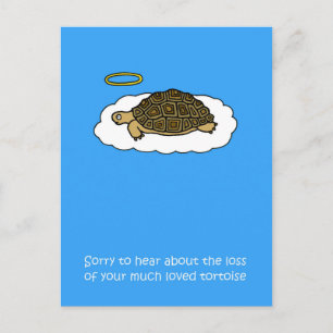 Carte Postale Sympathie face à la perte de la tortue des animaux