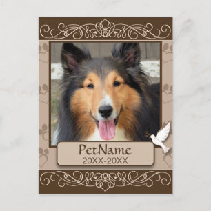 Carte Postale Sympathie personnalisée pour animal de compagnie B