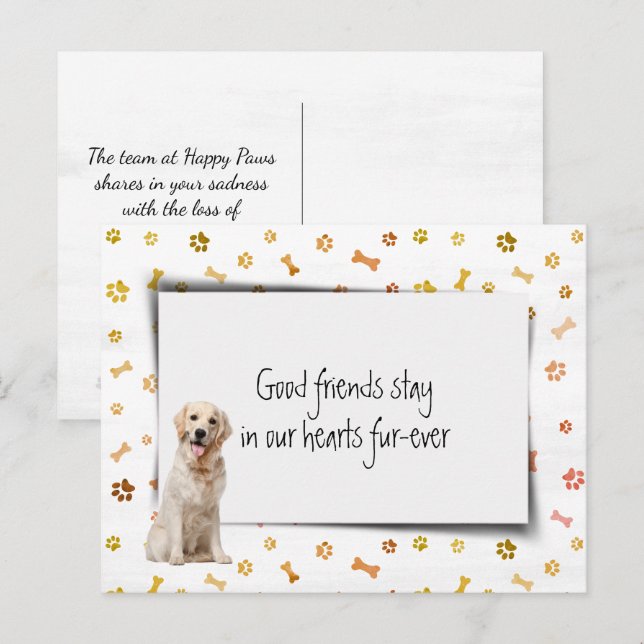 Carte Postale Sympathie perte animal de compagnie Golden Retriev (Devant / Derrière)