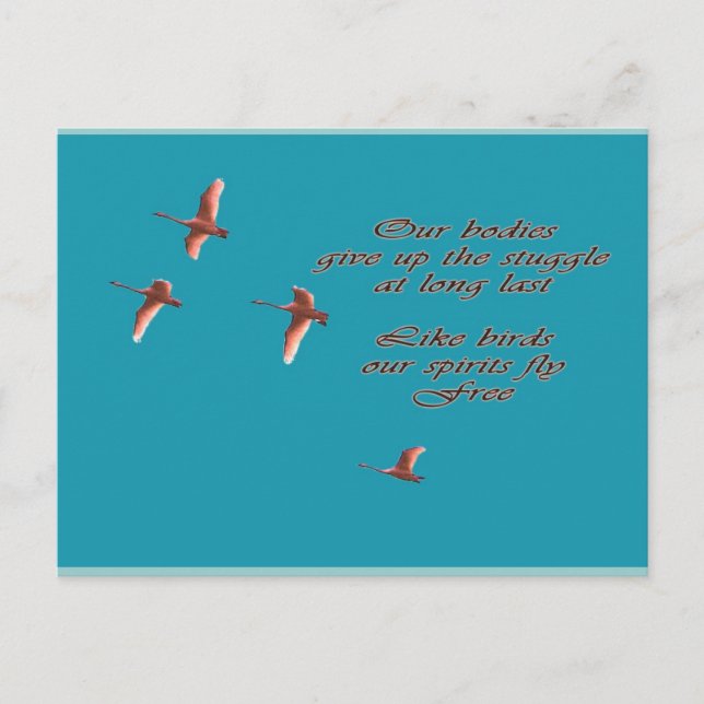 Carte Postale Sympathie Que Vous Trouviez Des Cygnes De Trupteur (Devant)