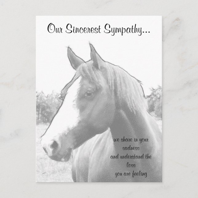 Carte Postale Sympathie Vétérinaire du cheval (Devant)