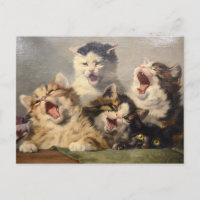Symphonie de Kitten par Julius Adam II