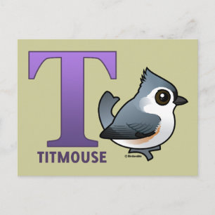 Carte Postale T est pour Titsouris