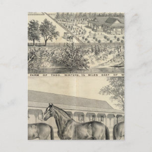 Carte Postale T Ferme d'hiver