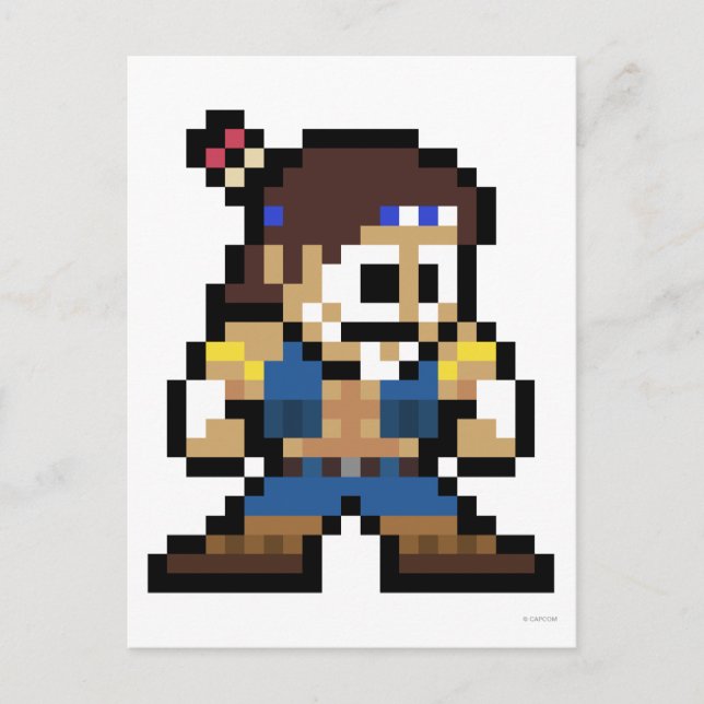 Carte Postale T. Hawk à 8 bits (Devant)