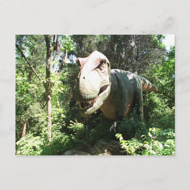 Carte Postale T-Rex (Devant)