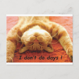 Carte Postale T-shirt Ginger Cat, je ne fais pas les jours