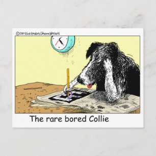 Carte Postale T-shirts Cadeaux Drôles Collection pour Border Col