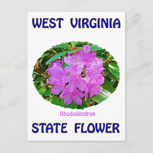 Carte Postale T-shirts et cadeaux Flower State de Virginie-Occid (Devant)