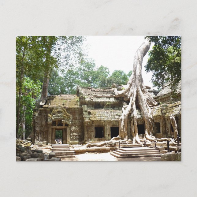 Carte Postale ta prohm angkor (Devant)