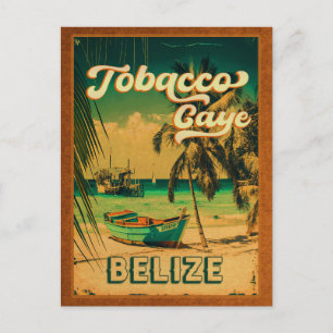 Carte Postale Tabac Caye Belize Palmiers Vintages Souvenirs