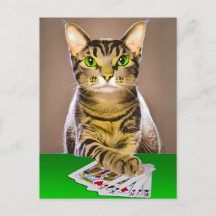 Carte Postale Tabby Cat Jouer Poker