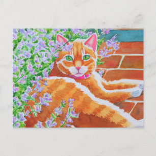 Carte Postale Tabby Cat sur Garden Path