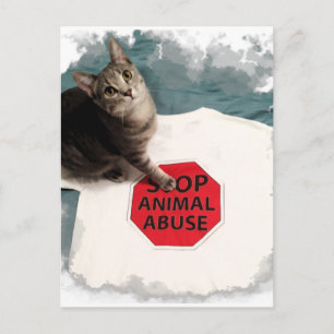 Carte Postale Tabby kitten avec une cause Stop Animal Abuse