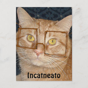 Carte Postale Tabby Orange Chat/Incognito