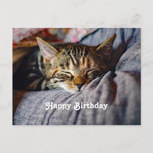 Carte Postale Tabby Tabby Chat Couché Cute Photo Anniversaire (Devant)
