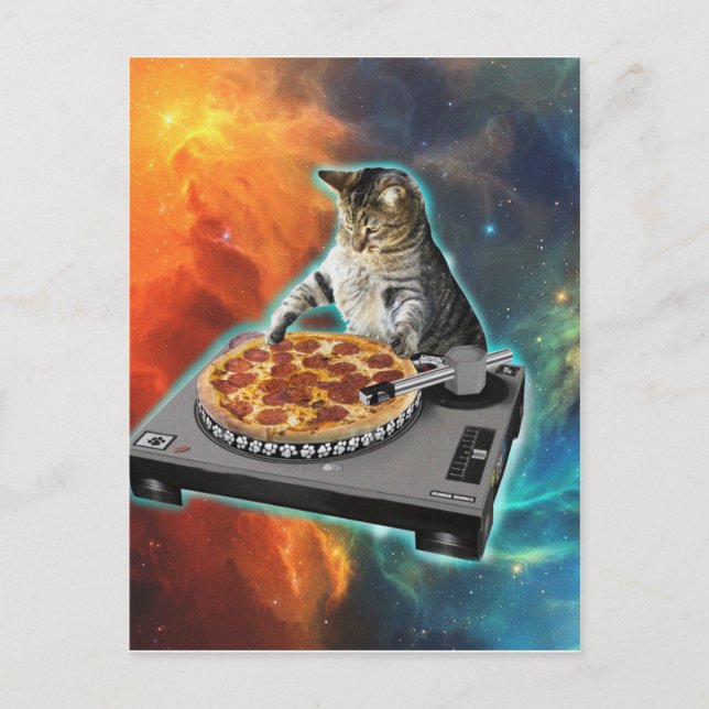 Carte Postale Table de son de jockey de disque Cat dj (Devant)