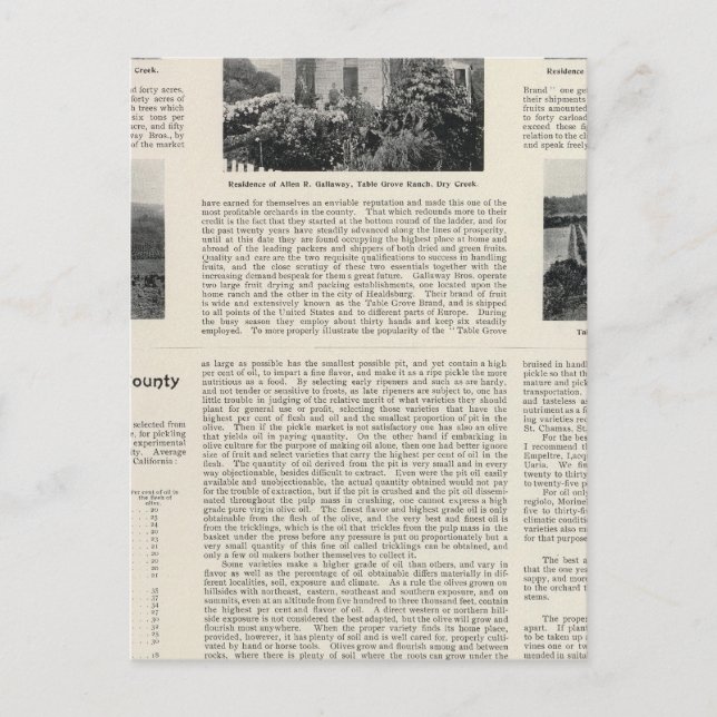 Carte Postale Table Grove Ranch, Californie (Devant)