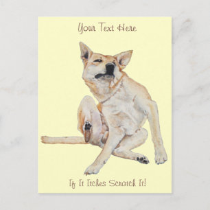 Carte Postale tableau à gratter avec un slogan drôle