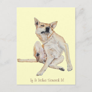 Carte Postale tableau à gratter avec un slogan drôle