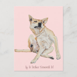 Carte Postale tableau à gratter avec un slogan drôle