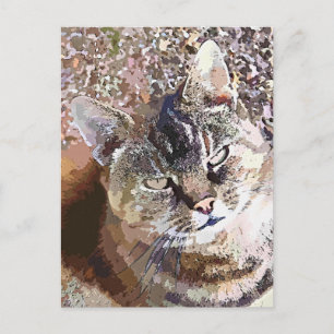CARTE POSTALE TABLEAU CAT