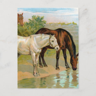 Carte Postale Tableau Cheval vintage
