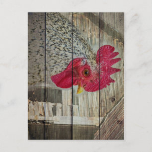 Carte Postale Tableau de la grange de poulet rustique Rooster