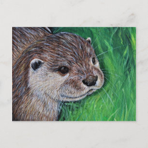 Carte Postale Tableau de Little River Otter