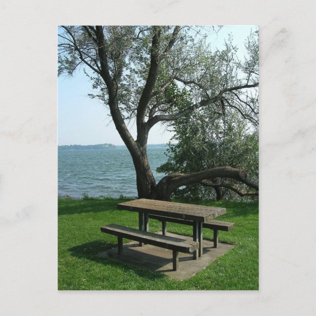 Carte Postale Tableau de pique-nique le long de Shoreline (Devant)