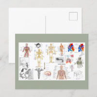 Tableaux d'anatomie humaine