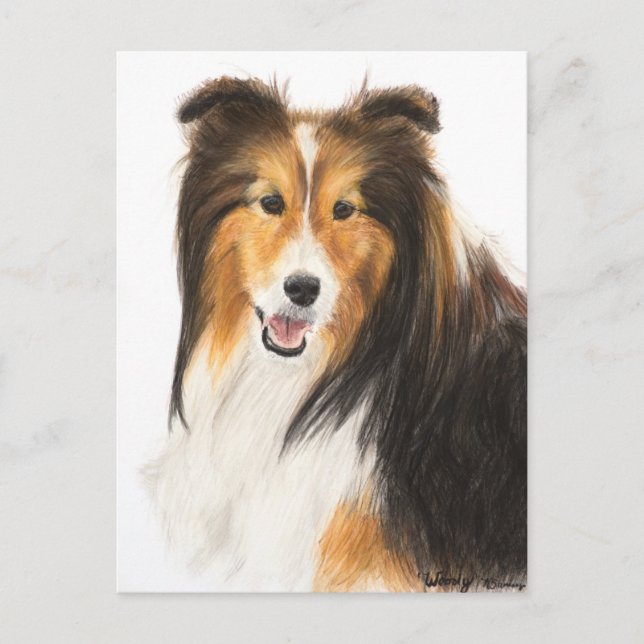 Carte Postale Tablette ou peinture Shetland Sheepdog (Devant)