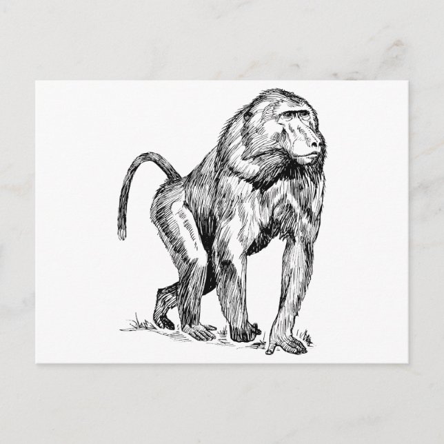 Carte Postale Tabouret (Devant)