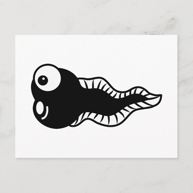 Carte Postale Tadpole (Devant)