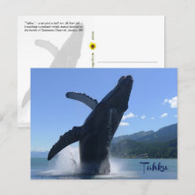 "Tahku"— violation de la statue de baleine à bosse