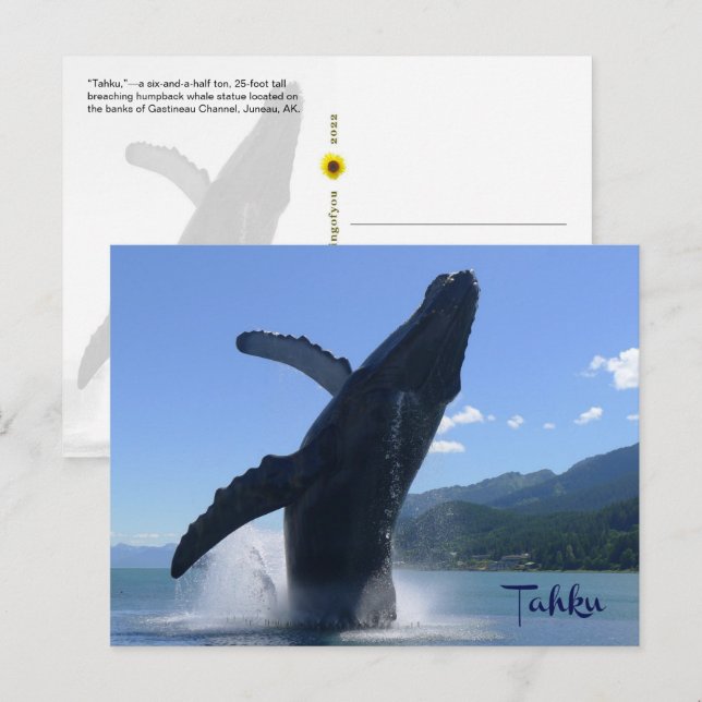 Carte Postale "Tahku"— violation de la statue de baleine à bosse (Devant / Derrière)