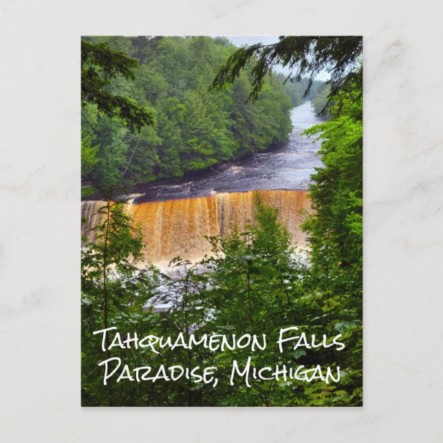 Carte postale Tahquamenon Falls Michigan (Devant)