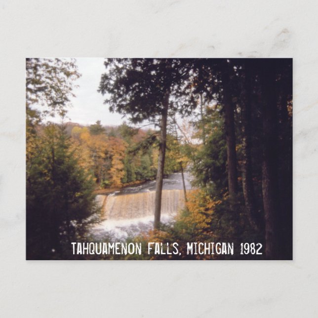 Carte postale Tahquamenon Falls Michigan (Devant)