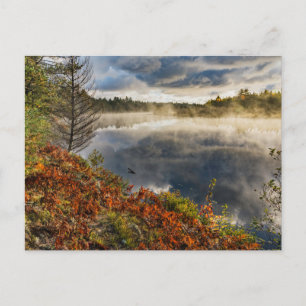 Carte Postale Tahquamenon Paradise, Michigan